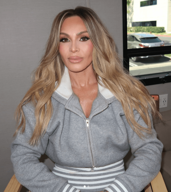 Tamra Judge’s Grey Striped Zip Up Sweatsuit - Product Image